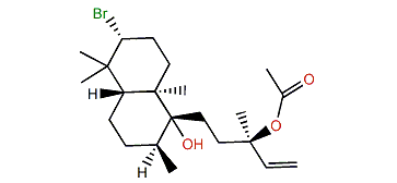 Concinndiol 13-acetate